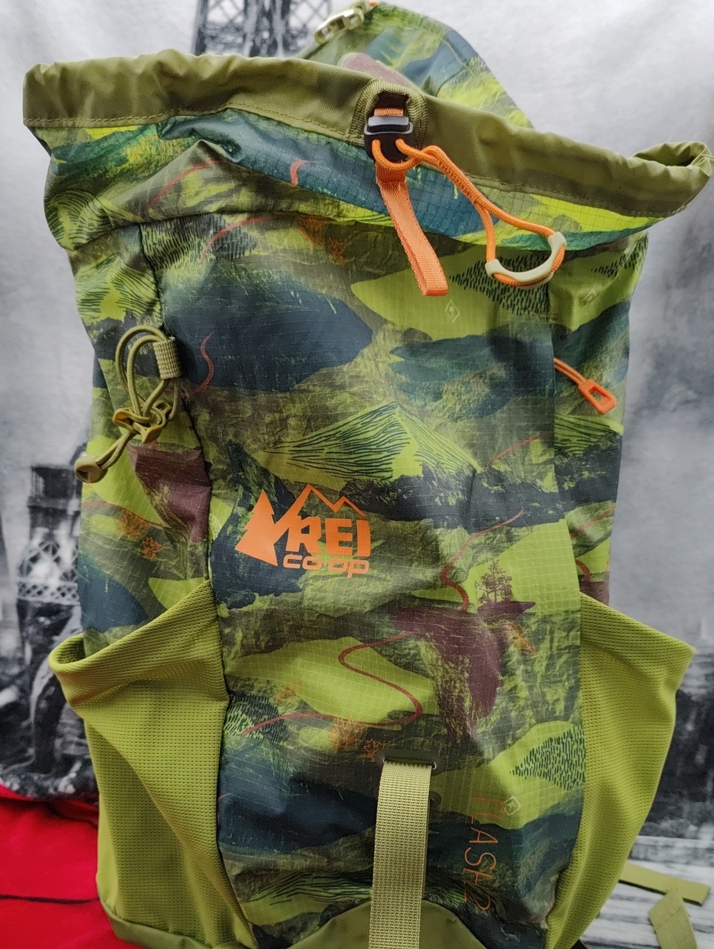 REI Co-op Flash 22 Print Back Pack - Picture 4 of 9